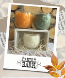 Small Pumpkin Trio